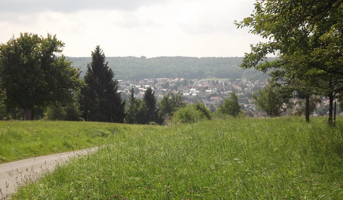 Grüne Wiese mit Bäumen im Vordergrund, im Hintergrund eine Stadt und bewaldete Hügel., © Natur.Nah. Schönbuch & Heckengäu Grüne Wiese mit Bäumen im Vordergrund, im Hintergrund eine Stadt und bewaldete Hügel., © Natur.Nah. Schönbuch & Heckengäu