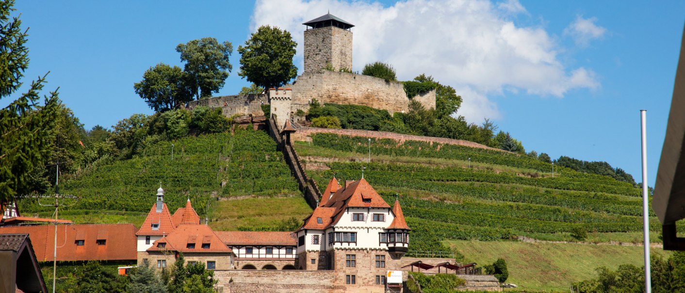 Burg Beilstein thront auf einem Hügel mit terrassierten Weinbergen. Im Vordergrund ist ein Gebäude mit roten Dächern zu sehen., © SMG, Achim Mende Burg Beilstein thront auf einem Hügel mit terrassierten Weinbergen. Im Vordergrund ist ein Gebäude mit roten Dächern zu sehen., © SMG, Achim Mende