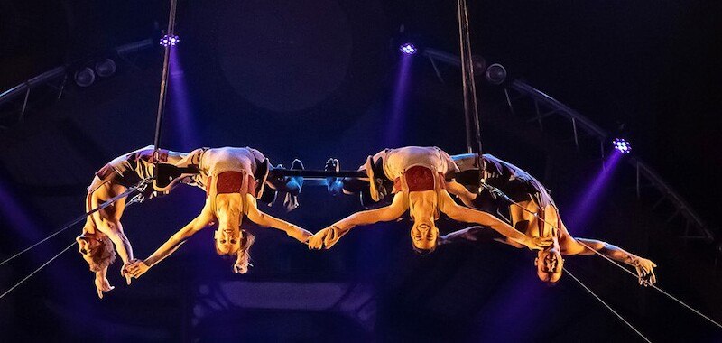 Vier Akrobaten hängen kopfüber an Trapezen, in einer synchronen Pose, beleuchtet von bunten Scheinwerfern., © Stadthalle Leonberg