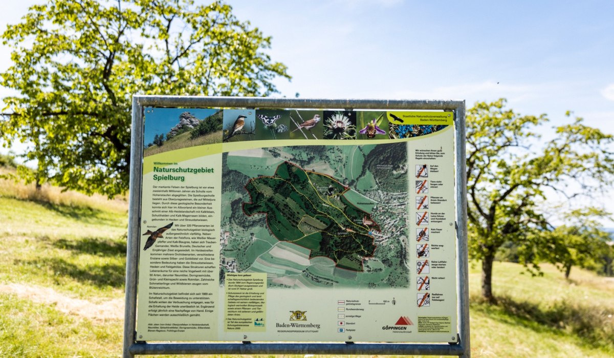 Informationsschild im Naturschutzgebiet Spielburg mit Karte und Hinweisen. Im Hintergrund ein Baum und Wiese unter blauem Himmel., © Stefan Kuhn Photography