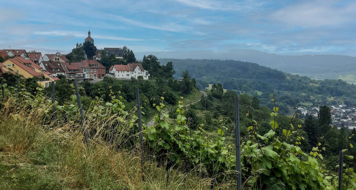Blick auf Winnenden B&uuml;rg, &copy; Remstal Tourismus e.V.