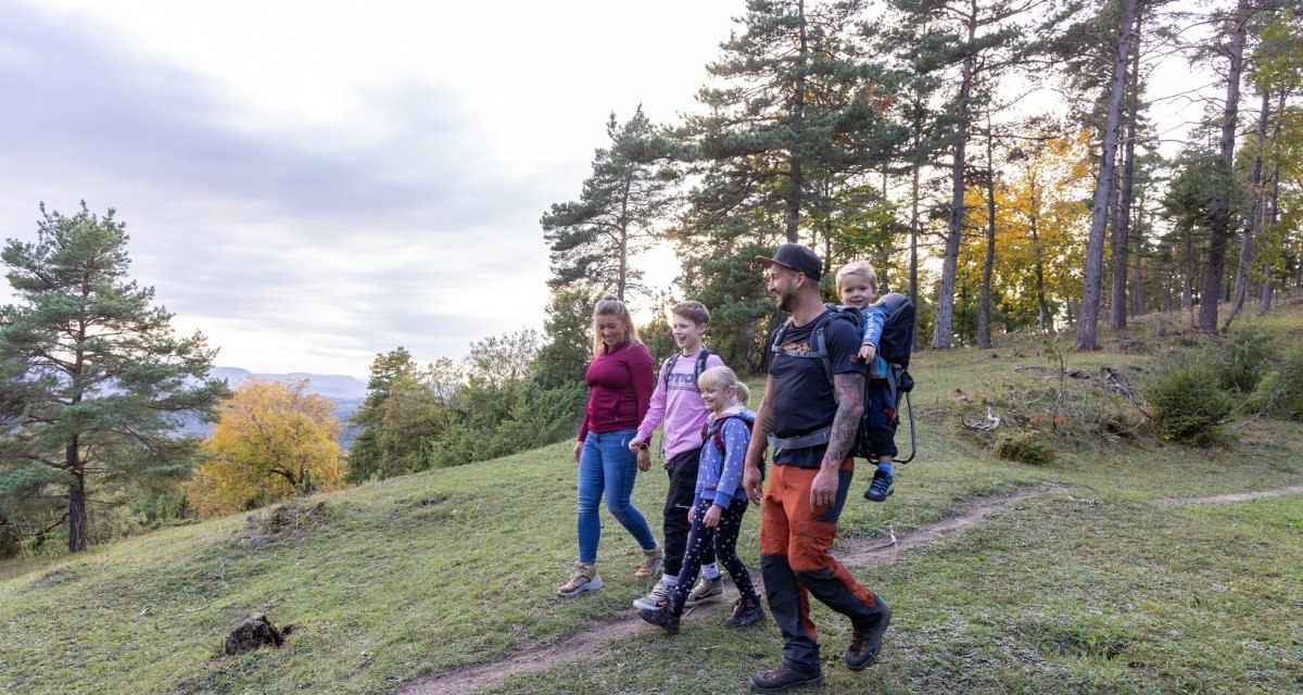 Eine Familie wandert auf einem Waldweg. Die Eltern und drei Kinder, eines im Tragerucksack, genießen die Natur. Bäume und herbstliche Farben im Hintergrund., © Foto Thomas Zehnder Eine Familie wandert auf einem Waldweg. Die Eltern und drei Kinder, eines im Tragerucksack, genießen die Natur. Bäume und herbstliche Farben im Hintergrund., © Foto Thomas Zehnder