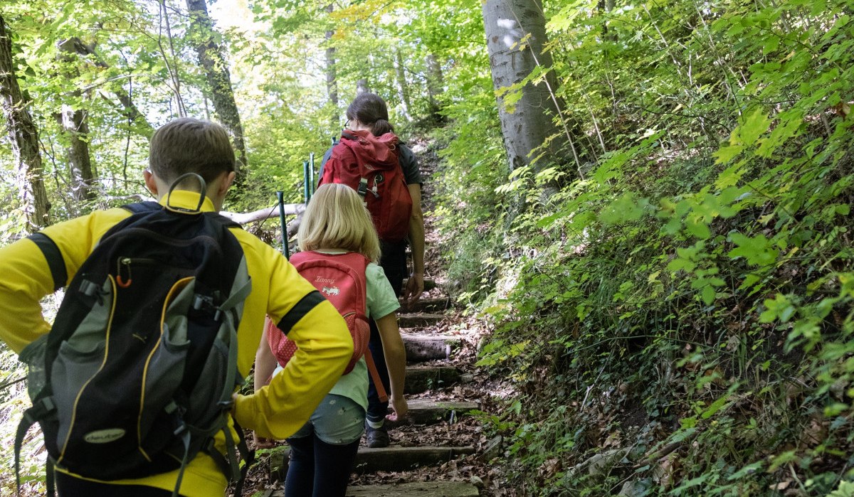 Drei Wanderer mit Rucksäcken steigen eine Treppe im Wald hinauf. Umgeben von grünen Bäumen und dichtem Laubwerk., © Foto Thomas Zehnder