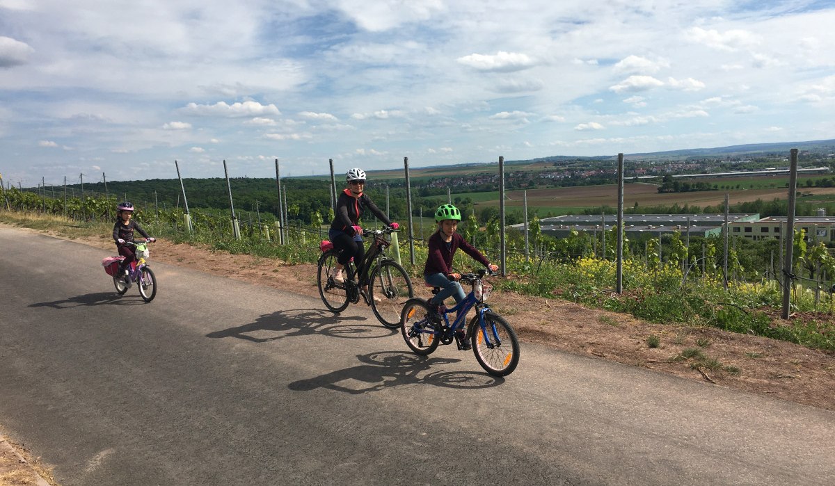 Drei Radfahrer, darunter zwei Kinder, fahren auf einem Weg durch Weinberge. Der Himmel ist bewölkt, im Hintergrund sind Felder und Gebäude zu sehen., © Land der 1000 Hügel - Kraichgau-Stromberg