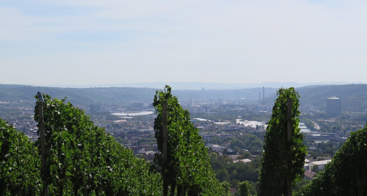 Weinreben im Vordergrund, dahinter eine Stadt in einem Tal, umgeben von H&uuml;geln und einem klaren Himmel., &copy; Stuttgart-Marketing GmbH