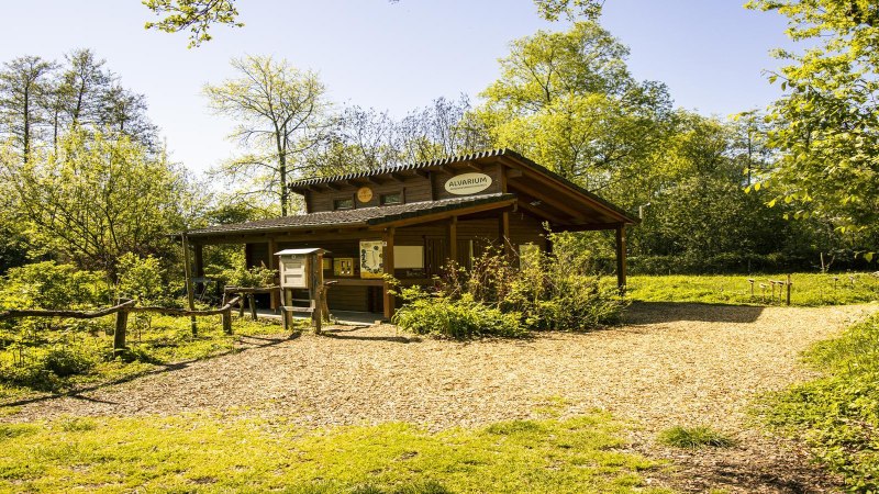 Ein kleines Holzgebäude im Grünen mit der Aufschrift 'Alvarium', umgeben von Bäumen und einem Kiesweg., © SMG, Sarah Schmid Ein kleines Holzgebäude im Grünen mit der Aufschrift 'Alvarium', umgeben von Bäumen und einem Kiesweg., © SMG, Sarah Schmid