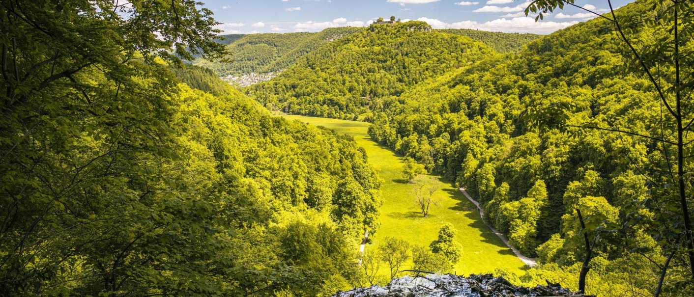 Blick von oben auf ein gr&uuml;nes Tal mit dicht bewaldeten H&uuml;geln und einem einzelnen Baum in der Mitte, unter blauem Himmel., &copy; Stuttgart-Marketing GmbH, Sarah Schmid