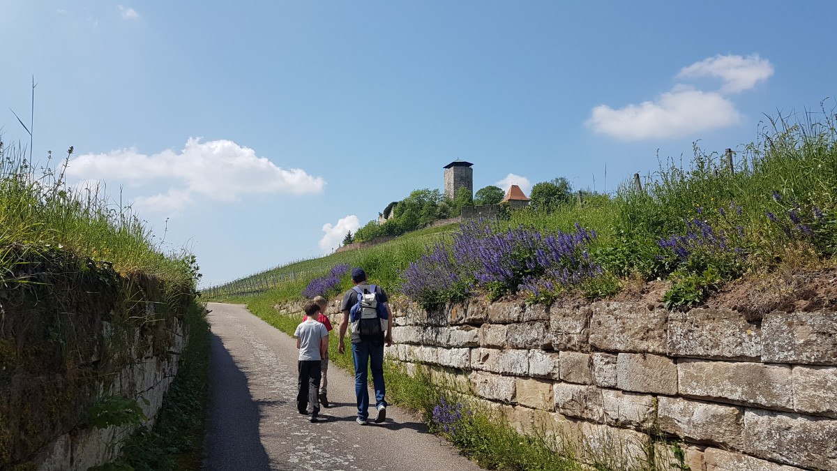 Zwei Personen spazieren auf einem Weg, umgeben von grünen Wiesen und Blumen. Im Hintergrund ist ein Turm zu sehen, unter blauem Himmel., © Tourismusgemeinschaft Marbach-Bottwartal Zwei Personen spazieren auf einem Weg, umgeben von grünen Wiesen und Blumen. Im Hintergrund ist ein Turm zu sehen, unter blauem Himmel., © Tourismusgemeinschaft Marbach-Bottwartal