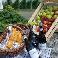 verschiedene Schaumweine und Geb&auml;ck sowie Obst, &copy; Stadt Fellbach