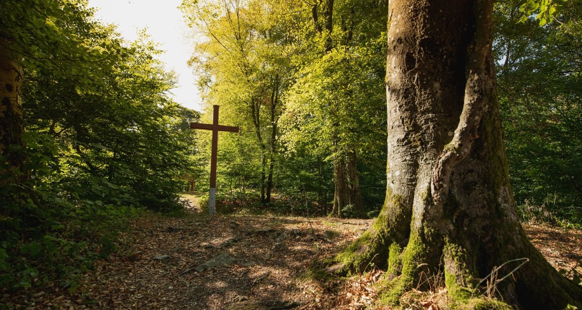 Ein Holzkreuz steht in einem Wald, umgeben von hohen Bäumen und Laub. Sonnenlicht fällt durch das Blätterdach und beleuchtet die Szene., © Remstal Tourismus e.V. Foto Bebop Media Ein Holzkreuz steht in einem Wald, umgeben von hohen Bäumen und Laub. Sonnenlicht fällt durch das Blätterdach und beleuchtet die Szene., © Remstal Tourismus e.V. Foto Bebop Media