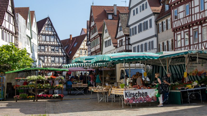 Leonberger Markt, © Stuttgart-Marketing GmbH, Antje Seeling