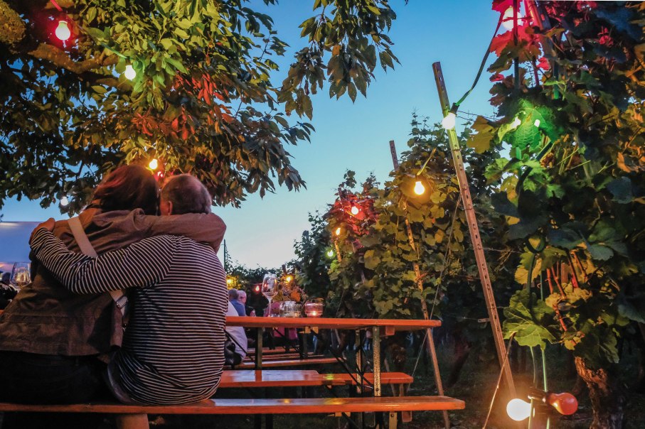 Ein Paar sitzt auf einer Bank bei einem Weinfest, umgeben von bunten Lichtern und Weinreben. Der Himmel ist blau, es herrscht eine gemütliche Atmosphäre., © SMG, trickytine Ein Paar sitzt auf einer Bank bei einem Weinfest, umgeben von bunten Lichtern und Weinreben. Der Himmel ist blau, es herrscht eine gemütliche Atmosphäre., © SMG, trickytine