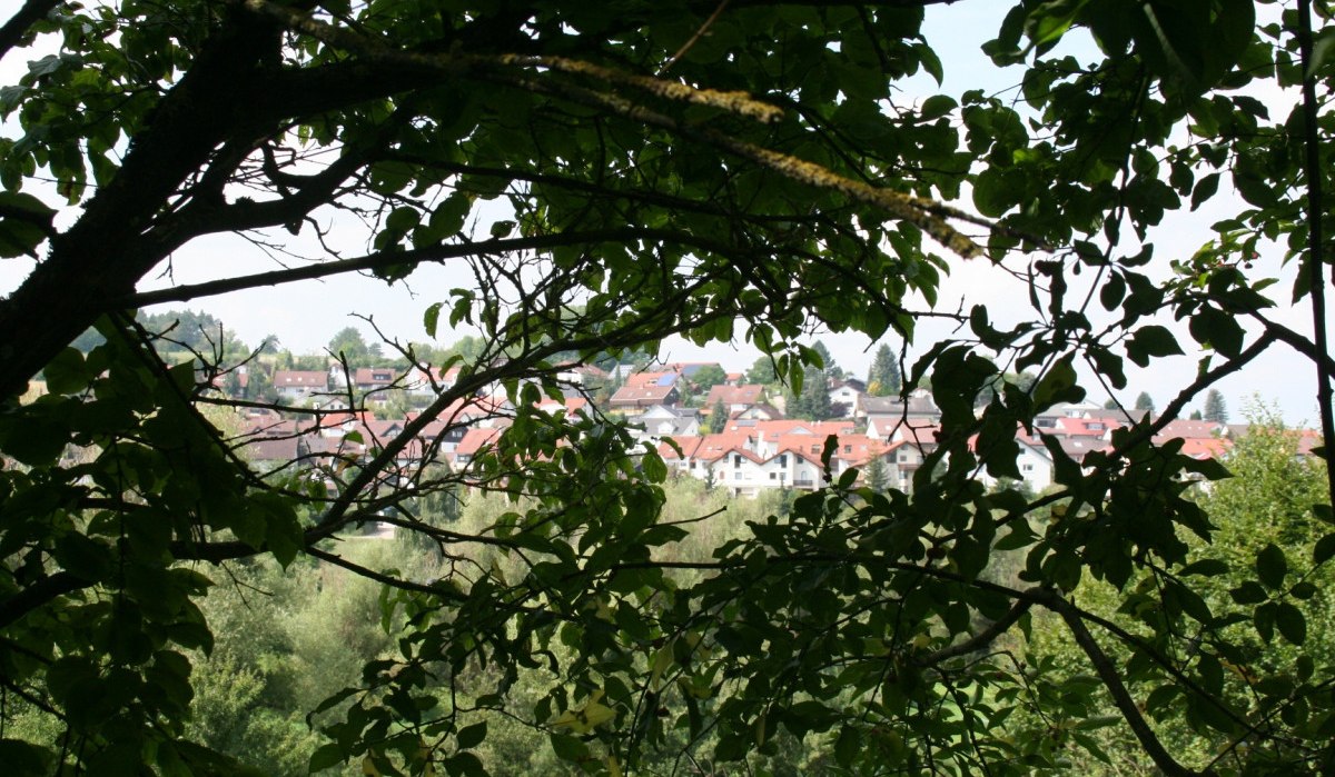Blick durch dichte Baumzweige auf eine Stadt mit roten Dächern im Hintergrund., © Natur.Nah. Schönbuch & Heckengäu