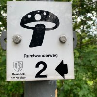 Ein Schild mit einem Pilzsymbol zeigt den Rundwanderweg 2 in Remseck am Neckar an. Der Pfeil weist nach links.
