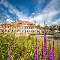 Ein historisches Geb&auml;ude in B&ouml;nnigheim, umgeben von bl&uuml;henden Pflanzen und einem klaren blauen Himmel im Hintergrund., &copy; Stadt B&ouml;nnigheim