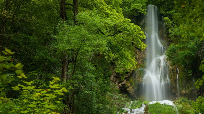 Der Uracher Wasserfall flie&szlig;t durch dichten, gr&uuml;nen Wald und f&auml;llt &uuml;ber eine steile Felswand. &Uuml;ppige Vegetation umgibt den Wasserfall.