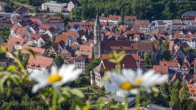 Blick auf die St. Amanduskirche