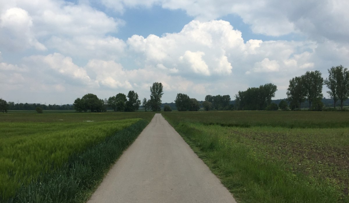 Ein langer, gerader Weg führt durch grüne Felder unter einem bewölkten Himmel. Bäume säumen den Horizont., © www.pro-cycl.de Ein langer, gerader Weg führt durch grüne Felder unter einem bewölkten Himmel. Bäume säumen den Horizont., © www.pro-cycl.de