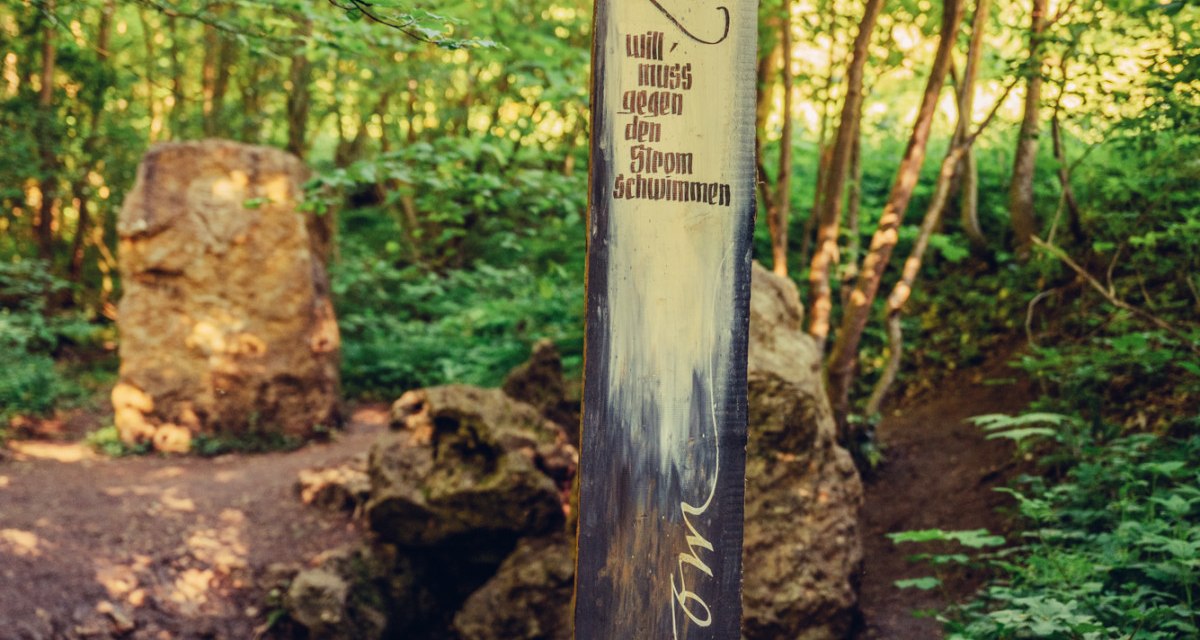 Ein Holzpfosten mit der Inschrift 'Wer zur Quelle will, muss gegen den Strom schwimmen' steht in einem grünen Wald bei Essingen., © Tourismus Ostalb, Fotograf: Christian Frumolt
