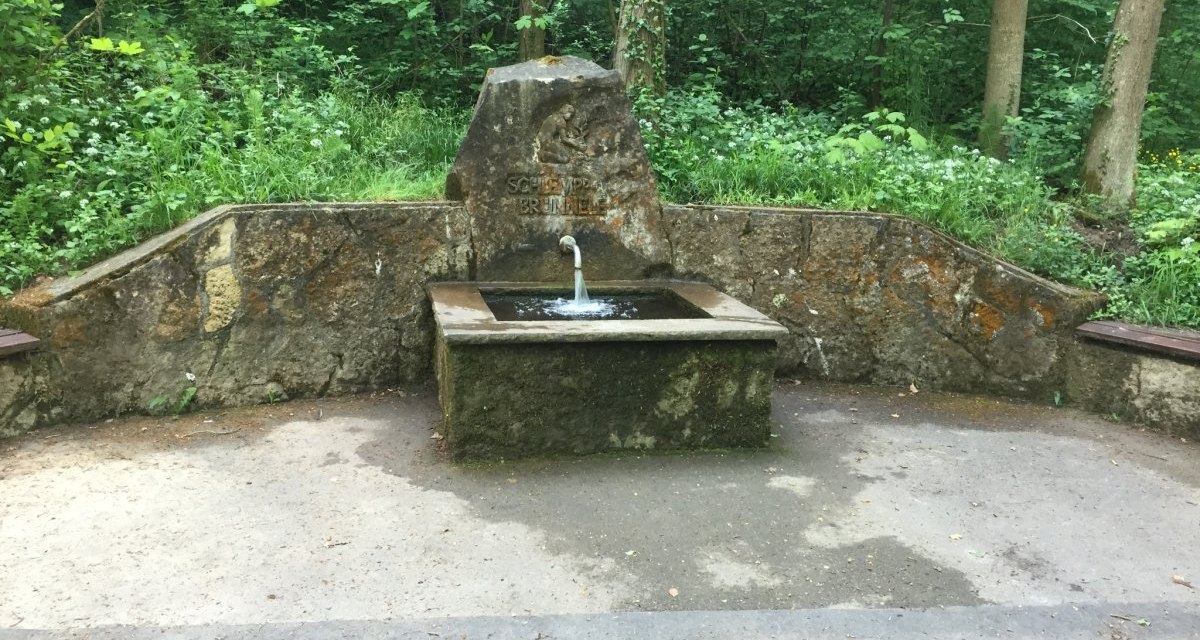Ein steinerner Brunnen im Wald, umgeben von üppigem Grün. Auf dem Brunnen steht 'Schlempp-Brünnle'., © www.pro-cycl.de Ein steinerner Brunnen im Wald, umgeben von üppigem Grün. Auf dem Brunnen steht 'Schlempp-Brünnle'., © www.pro-cycl.de