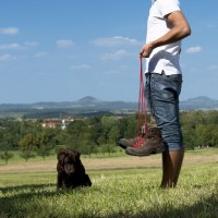 Person in Jeans und weißem T-Shirt hält Wanderschuhe. Ein Hund sitzt im Gras. Im Hintergrund sind grüne Felder und Hügel zu sehen., © Landkreis Göppingen Person in Jeans und weißem T-Shirt hält Wanderschuhe. Ein Hund sitzt im Gras. Im Hintergrund sind grüne Felder und Hügel zu sehen., © Landkreis Göppingen