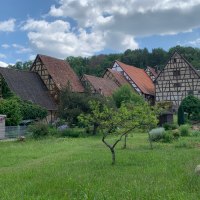 Fachwerkhäuser mit roten Dächern und ein Kirchturm in einem Dorf, umgeben von grüner Landschaft und Bäumen., © Land der 1000 Hügel - Kraichgau-Stromberg Fachwerkhäuser mit roten Dächern und ein Kirchturm in einem Dorf, umgeben von grüner Landschaft und Bäumen., © Land der 1000 Hügel - Kraichgau-Stromberg