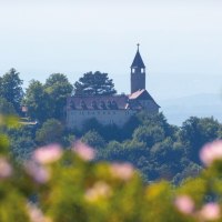 Burg Teck thront auf einem bewaldeten H&uuml;gel, umgeben von gr&uuml;nen B&auml;umen. Unscharfe Blumen im Vordergrund rahmen die Szene ein., &copy; SMG Achim Mende