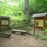 Zwei Informationstafeln und Holzbänke stehen im grünen Wald auf einem Naturlehrpfad. Die Umgebung ist dicht bewachsen und ruhig., © Bad Urach Tourismus