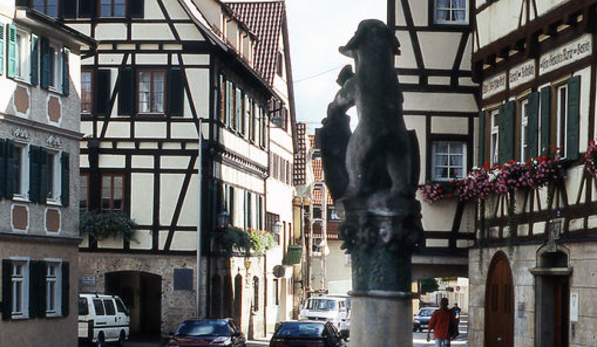 Ein malerischer Marktplatz mit Fachwerkhäusern und einem Brunnen, umgeben von roten Blumen. Autos parken entlang der Straße., © Stadt Wiesensteig Ein malerischer Marktplatz mit Fachwerkhäusern und einem Brunnen, umgeben von roten Blumen. Autos parken entlang der Straße., © Stadt Wiesensteig
