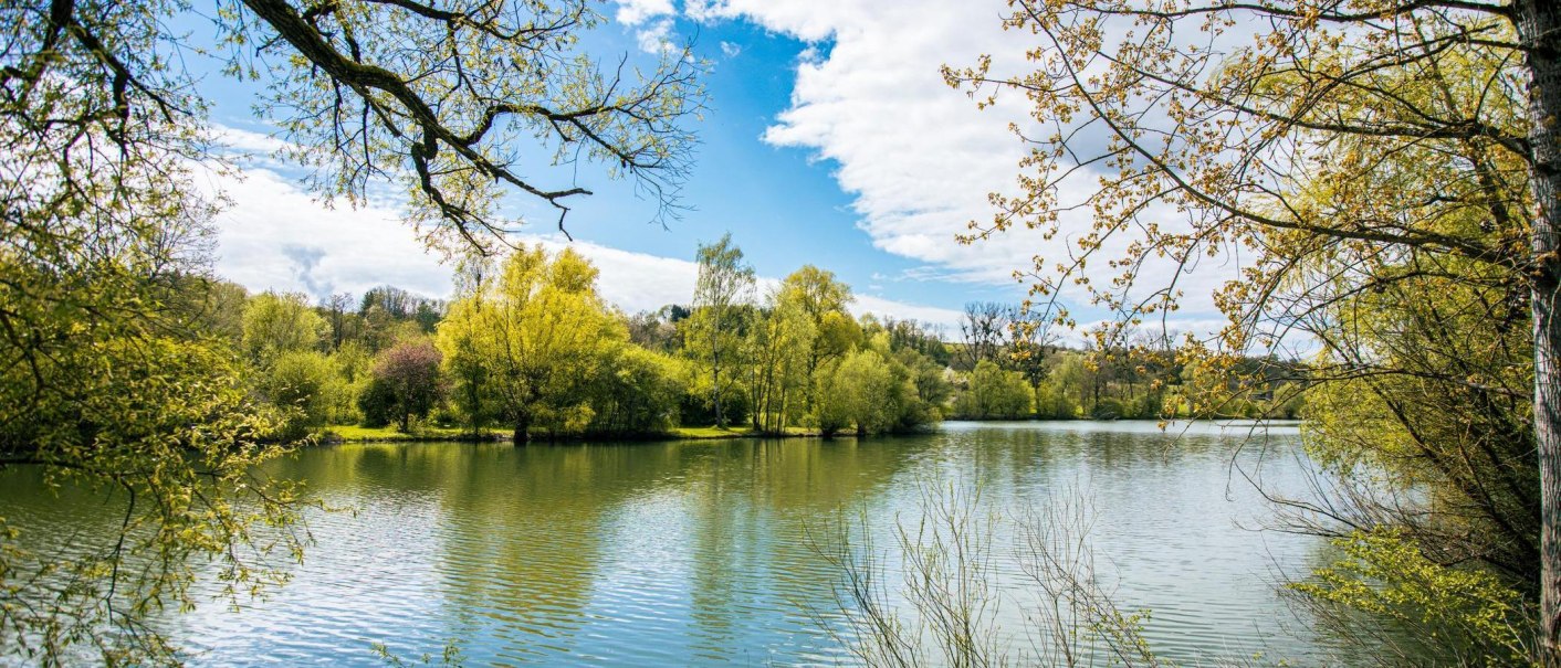 Der Beutwangsee in Nürtingen, umgeben von üppigem Grün und unter einem strahlend blauen Himmel. Ein friedlicher Ort in der Natur., © Stuttgart-Marketing GmbH, Sarah Schmid