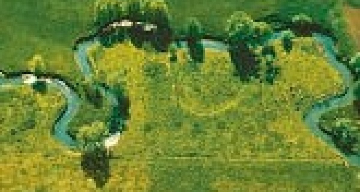 Luftaufnahme eines gewundenen Flusses, der sich durch gr&uuml;ne Felder schl&auml;ngelt. Die Landschaft ist von B&auml;umen ges&auml;umt., &copy; Natur.Nah. Sch&ouml;nbuch & Heckeng&auml;u