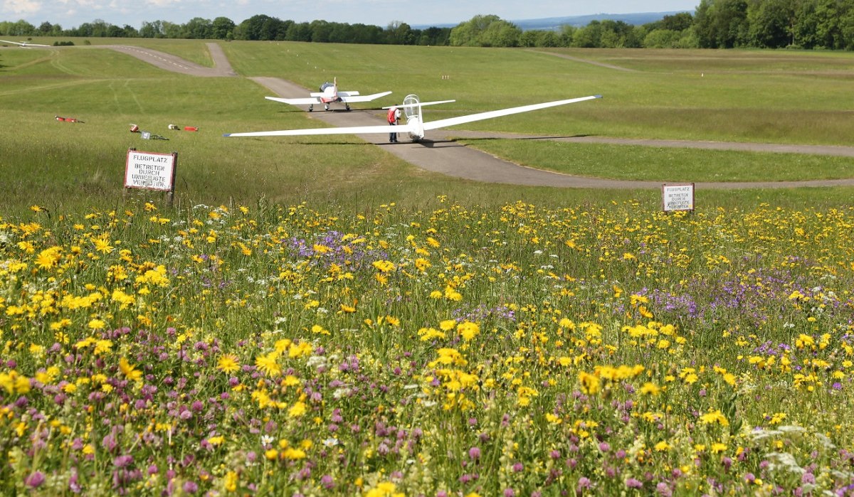 Blühende Wiese vor einem Segelflugplatz mit zwei Flugzeugen auf der Landebahn, umgeben von grüner Landschaft., © Walter Laible Blühende Wiese vor einem Segelflugplatz mit zwei Flugzeugen auf der Landebahn, umgeben von grüner Landschaft., © Walter Laible