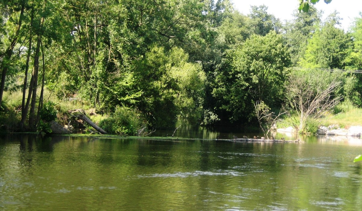 Ein ruhiger Fluss mit üppiger Vegetation am Ufer. Bäume spiegeln sich im Wasser, das von Sonnenlicht beleuchtet wird., © Land der 1000 Hügel - Kraichgau-Stromberg