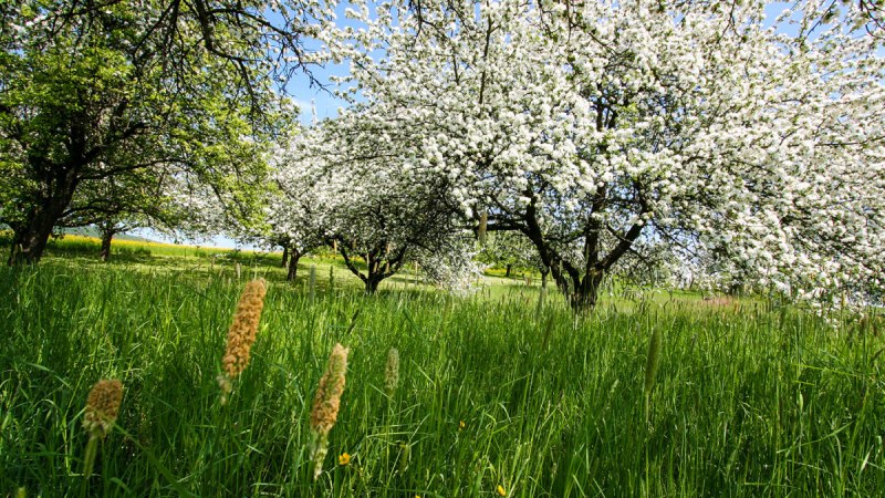 Rems-Murr-Wanderweg - Etappe 2: Winnenden-Rudersberg - Wanderweg:Regionaler Wanderweg mit Start in Winnenden Rems-Murr-Wanderweg - Etappe 2: Winnenden-Rudersberg - Wanderweg:Regionaler Wanderweg mit Start in Winnenden