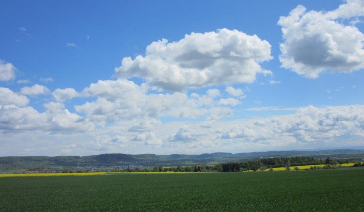 Grünes Feld unter blauem Himmel mit weißen Wolken, im Hintergrund Hügel des Schönbuchs sichtbar., © Natur.Nah. Schönbuch & Heckengäu Grünes Feld unter blauem Himmel mit weißen Wolken, im Hintergrund Hügel des Schönbuchs sichtbar., © Natur.Nah. Schönbuch & Heckengäu
