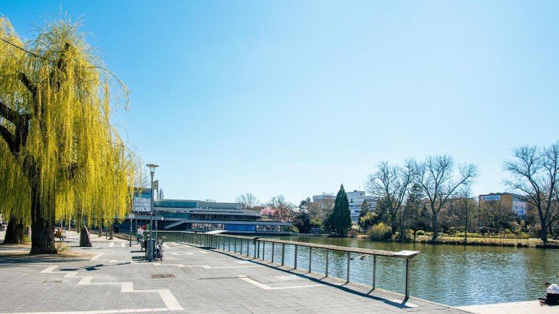 Ein sonniger Tag am Unteren See in B&ouml;blingen. Eine Trauerweide wirft Schatten auf den Gehweg, w&auml;hrend Menschen die Aussicht genie&szlig;en., &copy; Stuttgart-Marketing GmbH, Sarah Schmid