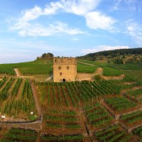 Die Y-Burg in Kernen im Remstal, umgeben von grünen Weinbergen unter blauem Himmel., © Stuttgart-Marketing GmbH