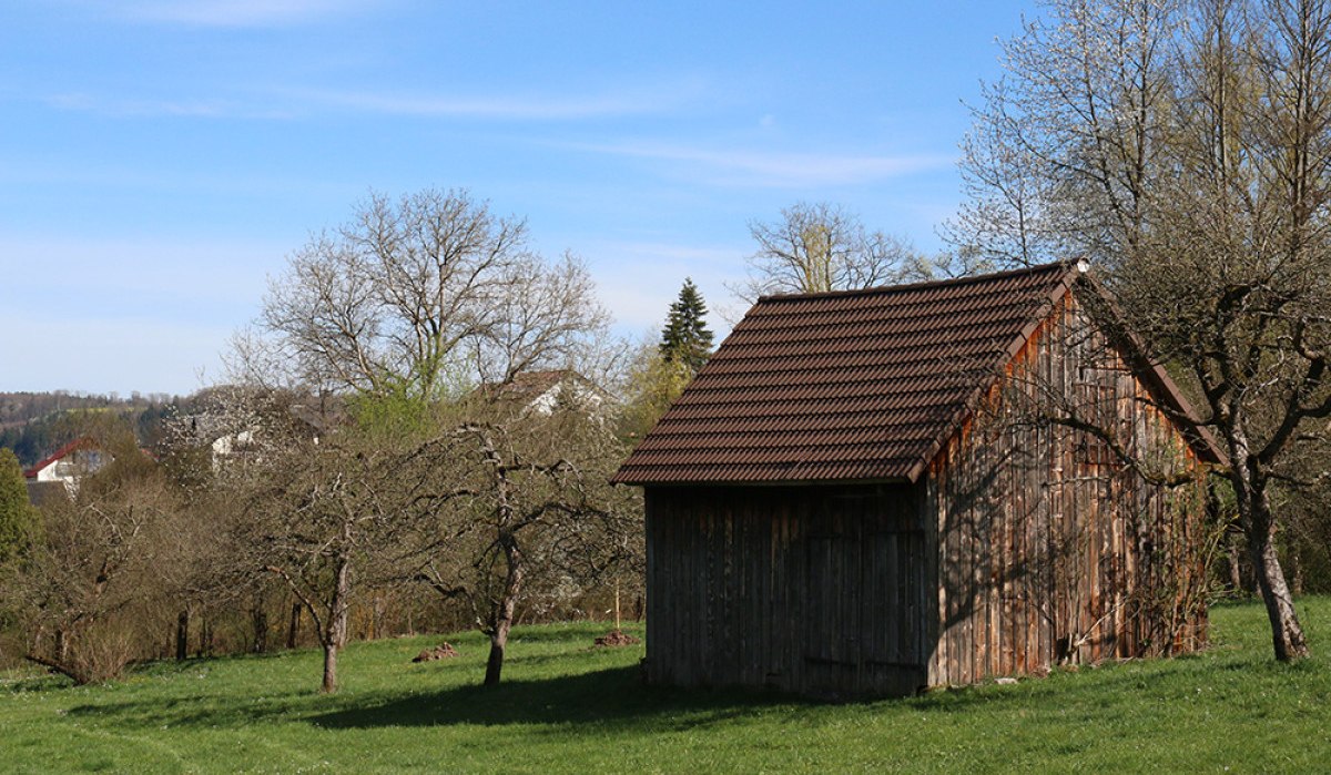 Feldscheune auf grüner Wiese, umgeben von blühenden Bäumen und blauem Himmel in Gaildorf. Feldscheune auf grüner Wiese, umgeben von blühenden Bäumen und blauem Himmel in Gaildorf.