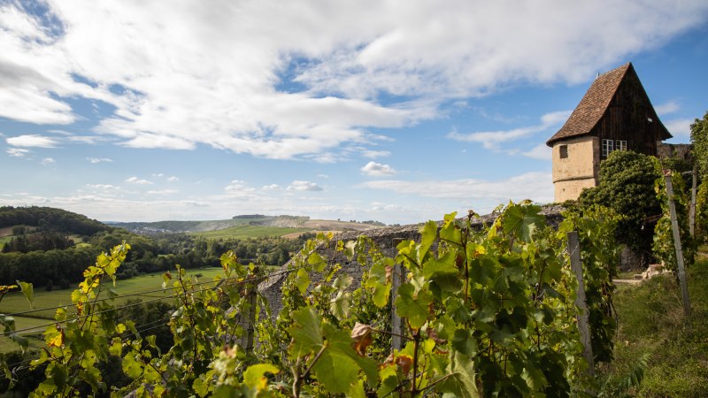 Vaihingen an der Enz, © Stuttgart-Marketing GmbH, Antje Seeling