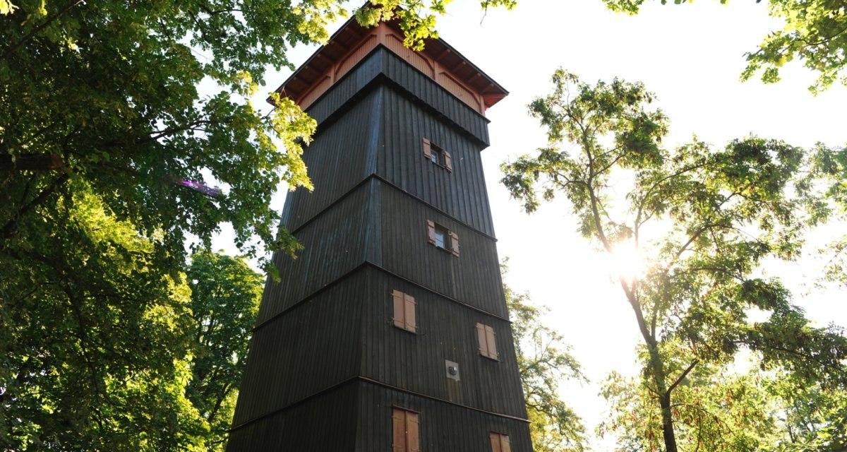 Ein hoher, hölzerner Turm ragt zwischen grünen Bäumen empor. Sonnenlicht scheint durch das Blätterdach. Ein hoher, hölzerner Turm ragt zwischen grünen Bäumen empor. Sonnenlicht scheint durch das Blätterdach.