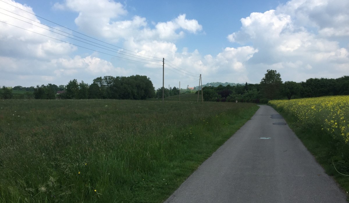 Ein asphaltierter Radweg führt durch grüne Wiesen und Felder, flankiert von Bäumen. Der Himmel ist blau mit weißen Wolken., © www.pro-cycl.de Ein asphaltierter Radweg führt durch grüne Wiesen und Felder, flankiert von Bäumen. Der Himmel ist blau mit weißen Wolken., © www.pro-cycl.de