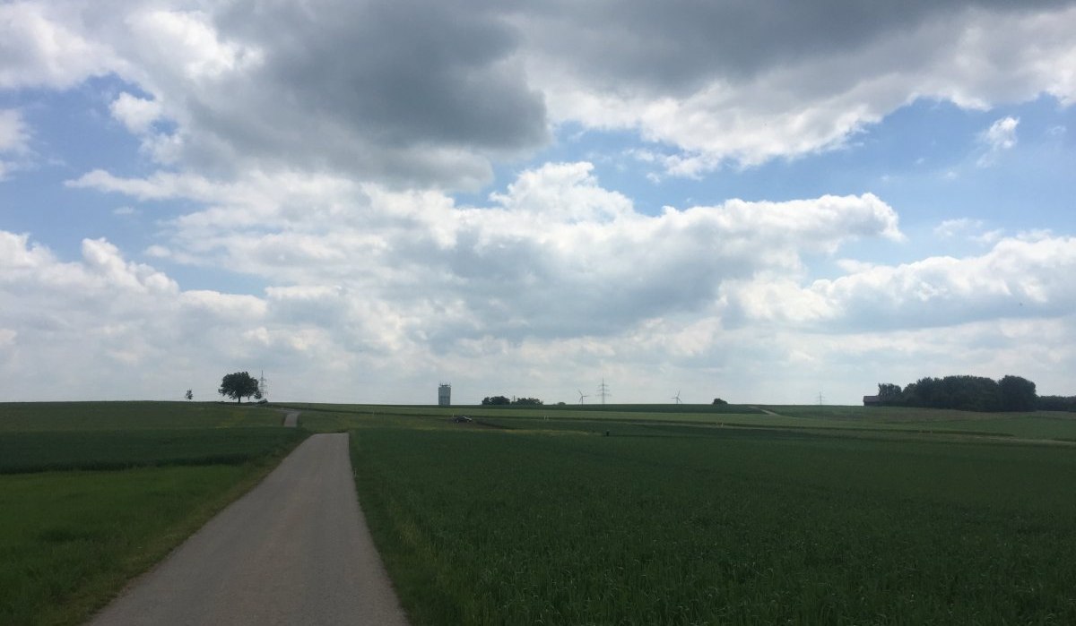 Ein schmaler Weg f&uuml;hrt durch gr&uuml;ne Felder unter einem bew&ouml;lkten Himmel. In der Ferne ist ein Wasserturm zu sehen, umgeben von Windr&auml;dern und B&auml;umen., &copy; www.pro-cycl.de