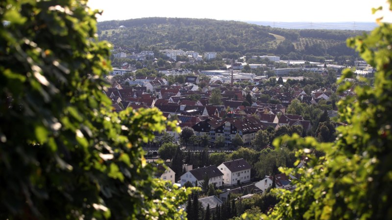 Blick vom Weinberg auf Metzingen: Im Vordergrund Weinreben, dahinter D&auml;cher der Stadt und gr&uuml;ne H&uuml;gel im Hintergrund.