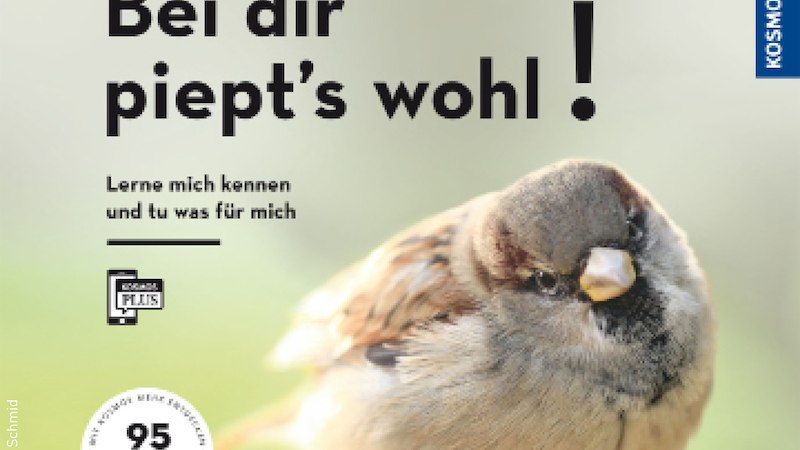 Bei dir piept´s wohl *, © Stadt Kornwestheim - Stadtbücherei Bei dir piept´s wohl *, © Stadt Kornwestheim - Stadtbücherei
