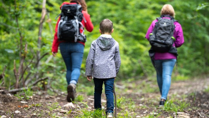 Drei Personen wandern auf einem Waldweg, zwei Erwachsene und ein Kind mit Rucksäcken. Der Weg ist von grüner Vegetation umgeben., © Touristikgemeinschaft Hohenlohe e. V. | Stadt Künzelsau Drei Personen wandern auf einem Waldweg, zwei Erwachsene und ein Kind mit Rucksäcken. Der Weg ist von grüner Vegetation umgeben., © Touristikgemeinschaft Hohenlohe e. V. | Stadt Künzelsau