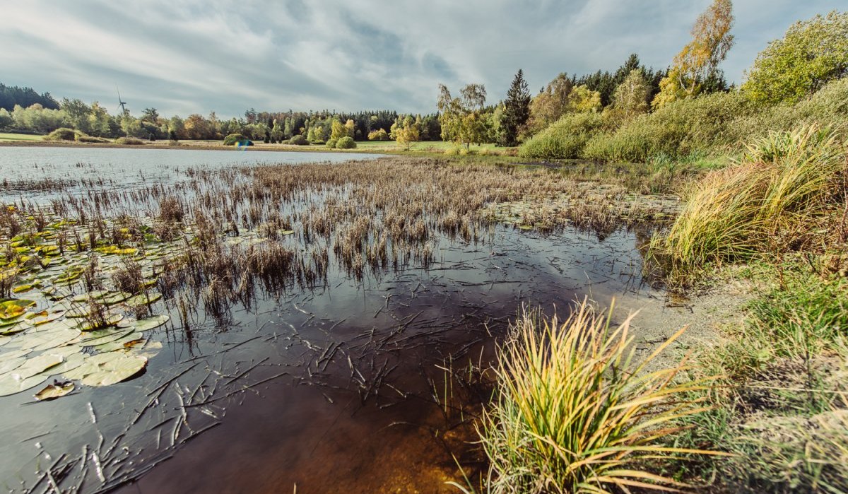 Weiherwiesen Essingen, &copy; Tourismus Ostalb, Fotograf: Christian Frumolt