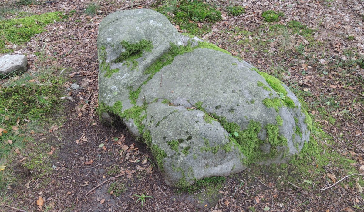 Ein moosbedeckter Felsen im Wald, der wie ein Sessel geformt ist. Der Boden ist mit Laub und Moos bedeckt., © Land der 1000 Hügel - Kraichgau-Stromberg Ein moosbedeckter Felsen im Wald, der wie ein Sessel geformt ist. Der Boden ist mit Laub und Moos bedeckt., © Land der 1000 Hügel - Kraichgau-Stromberg