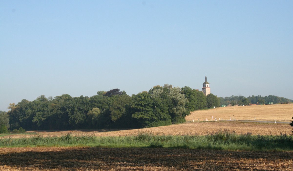 Weite Landschaft mit Feldern und einem Kirchturm, umgeben von Bäumen, unter klarem Himmel., © Natur.Nah. Schönbuch & Heckengäu Weite Landschaft mit Feldern und einem Kirchturm, umgeben von Bäumen, unter klarem Himmel., © Natur.Nah. Schönbuch & Heckengäu