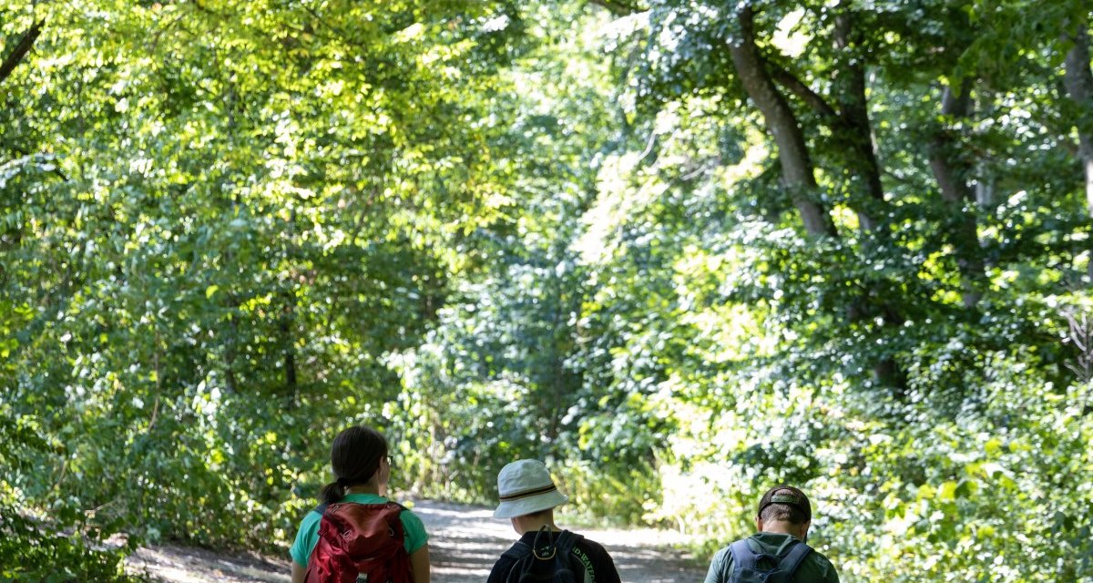 Drei Wanderer mit Rucksäcken gehen auf einem schattigen Waldweg, umgeben von dichtem, grünem Laub., © Foto Thomas Zehnder Drei Wanderer mit Rucksäcken gehen auf einem schattigen Waldweg, umgeben von dichtem, grünem Laub., © Foto Thomas Zehnder