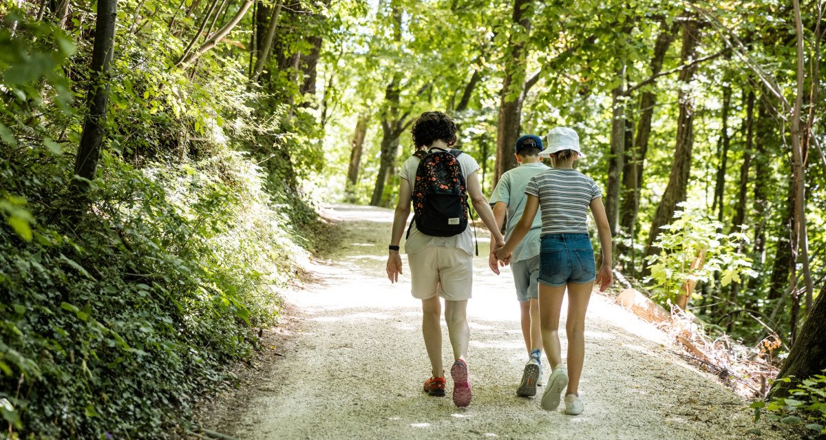 Drei Personen spazieren auf einem sonnigen Waldweg. Sie sind von grünen Bäumen umgeben und tragen Freizeitkleidung., © TMBW